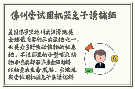 91吃瓜网今日吃瓜